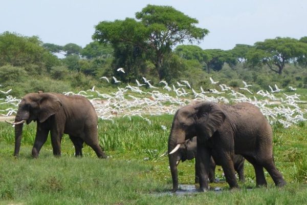 Kenya Safari destinations