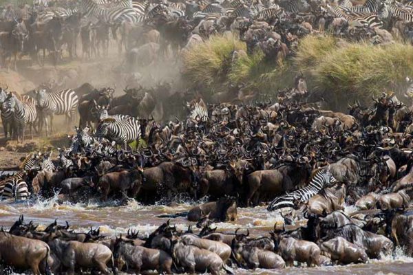 Serengeti National Park