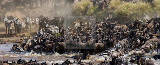 Serengeti National Park