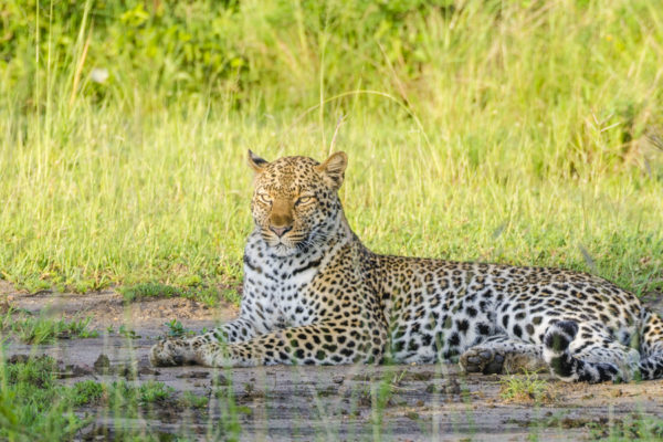 Star Wilderness Safaris