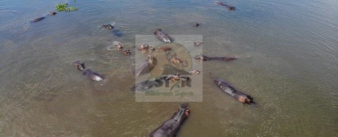Lake Manyara National Park