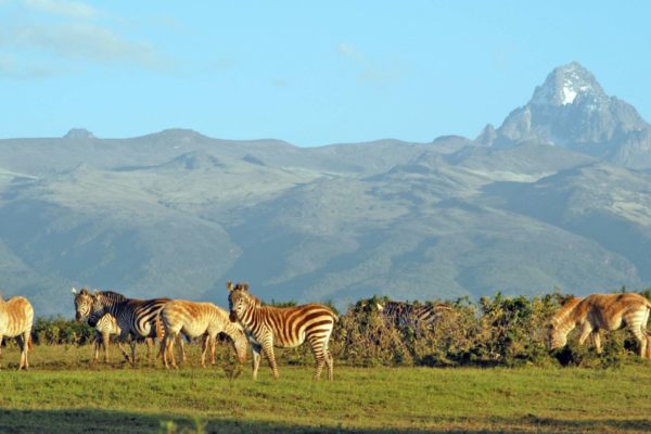 Saadani National Park