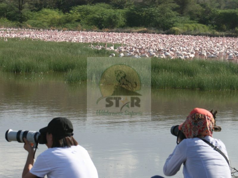 Lake Nakuru National Reserve