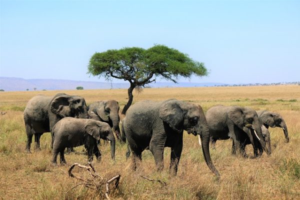 Chyulu Hills National Park