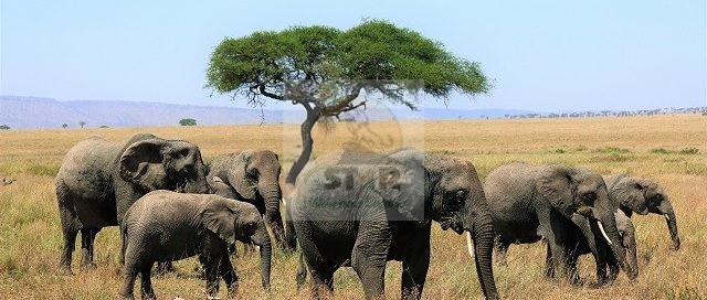 Chyulu Hills National Park