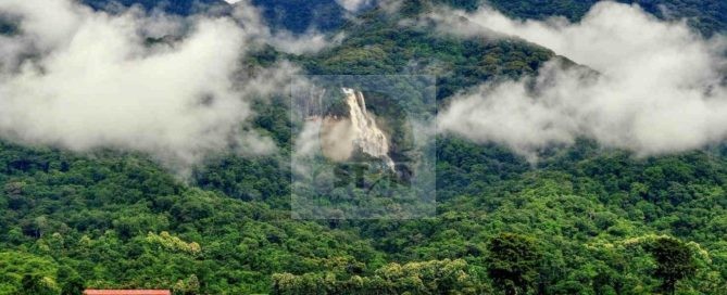 Udzungwa Mountains National Park