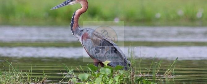 ARUSHA NATIONAL PARK