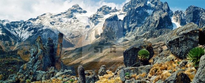 Rwenzori Mountains National Park