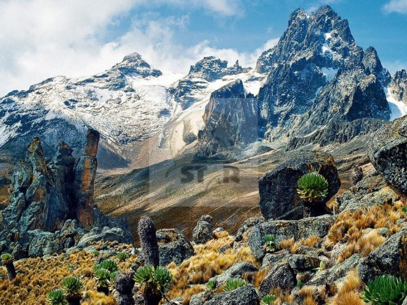 Rwenzori Mountains National Park