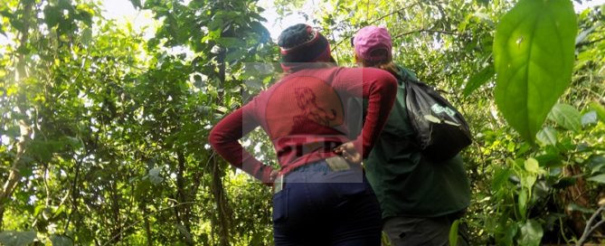 5 Days safari in Uganda