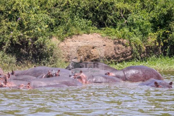 Star Wilderness Safaris