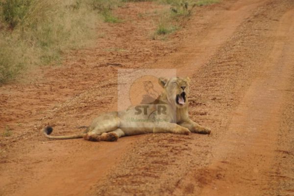 Uganda safari destinations