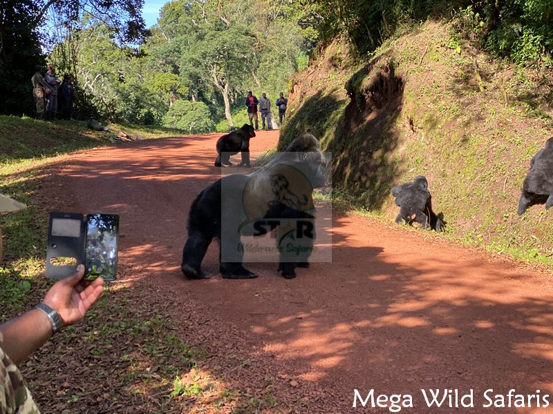5 Days safari in Uganda