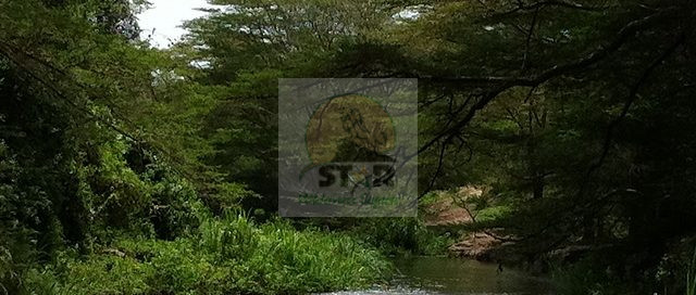 River Semliki Uganda