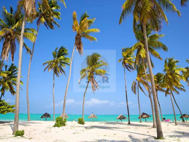 Zanzibar Holiday Safari