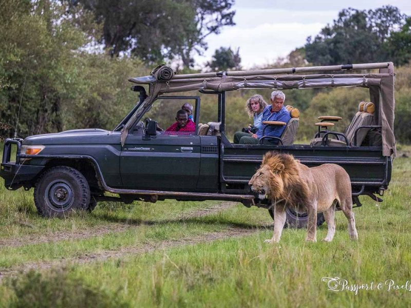 Kenya Wildlife Safaris