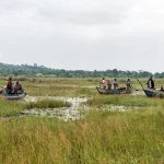 Mabamba Swamp Tour in Uganda