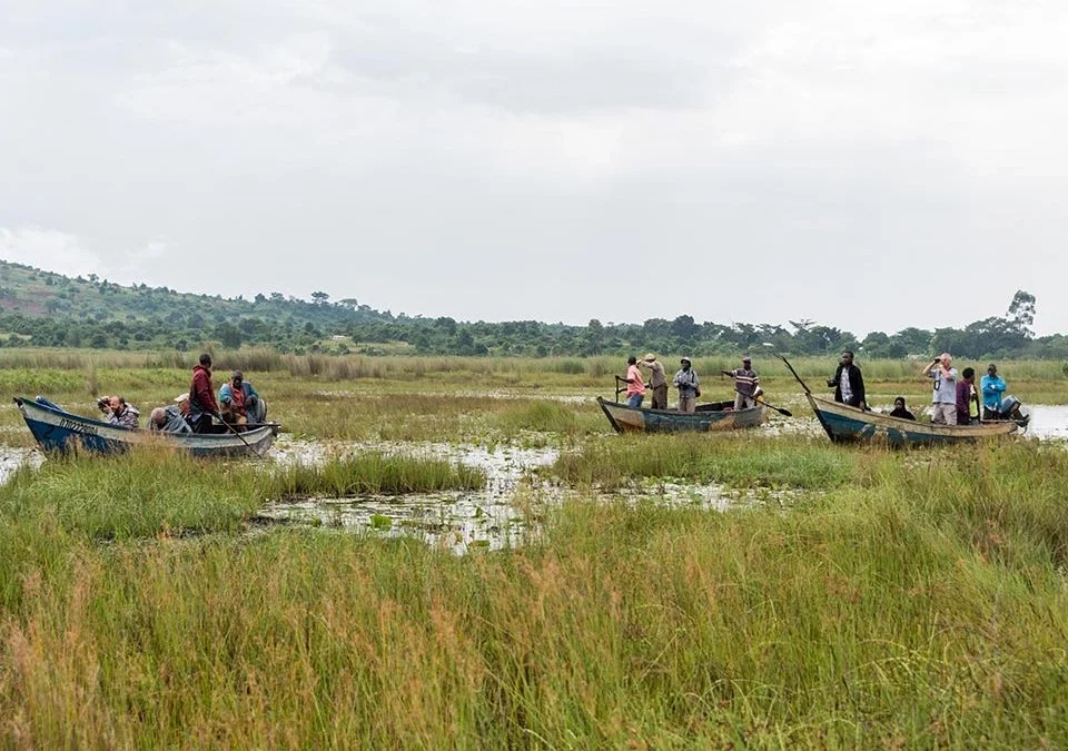 Mabamba Swamp Tour in Uganda