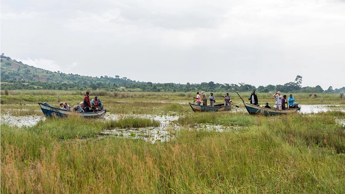 Mabamba Swamp Tour in Uganda