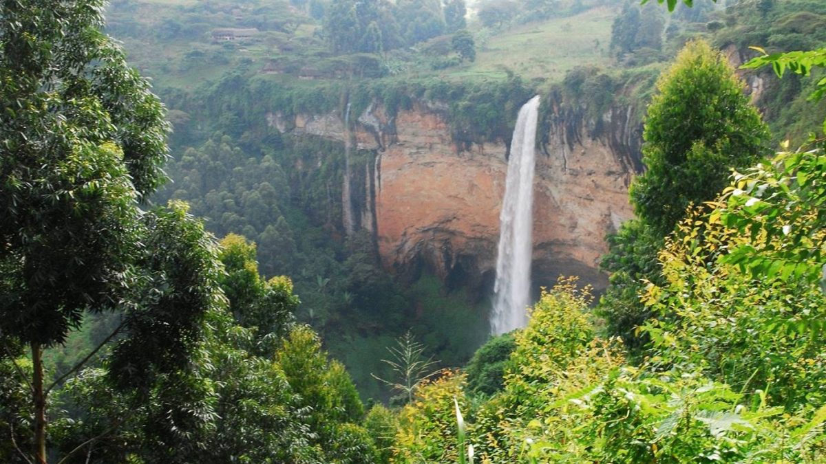 Sasa Trail Hike in Mount Elgon