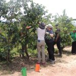 Coffee Farm Tour in Sipi
