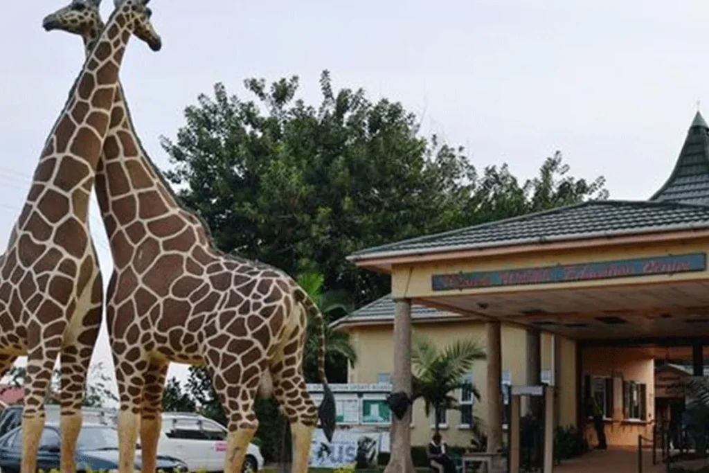 Day Trip to Entebbe Zoo 