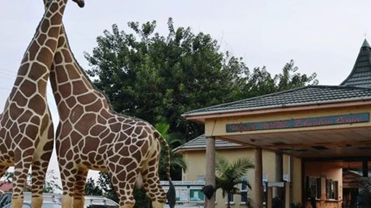 Day Trip to Entebbe Zoo 