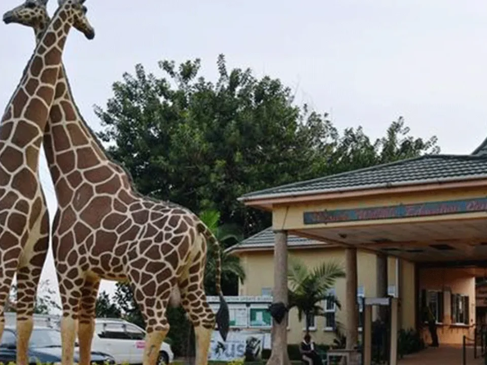 Day Trip to Entebbe Zoo 