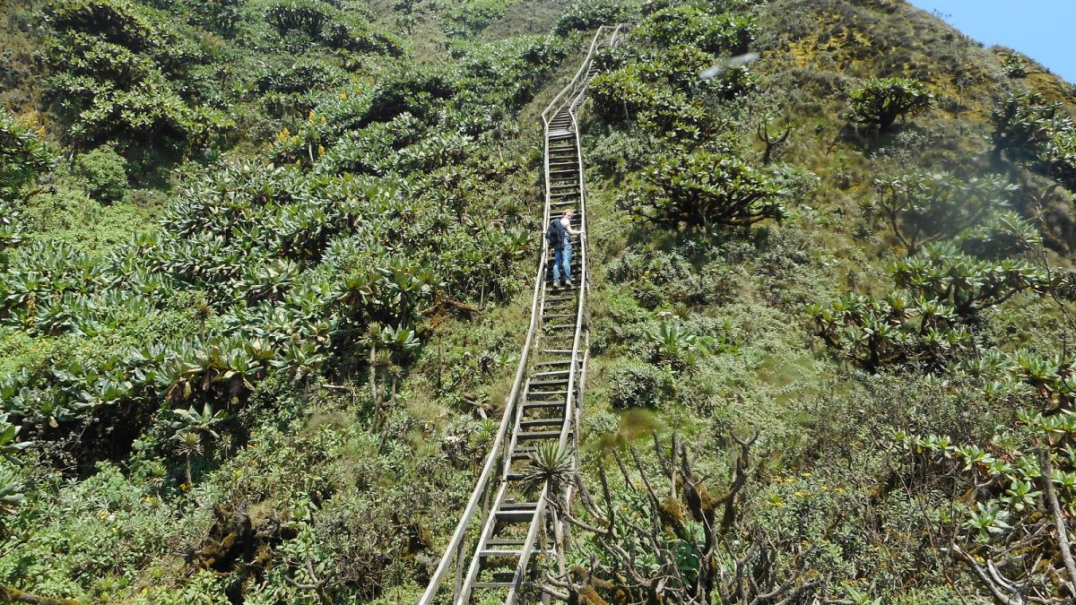 Mount Sabinyo Hike