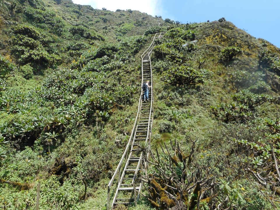 Mount Sabinyo Hike