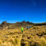 Mount Elgon Trekking
