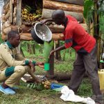 Learn Traditional Banana Beer Brewing in Bigodi