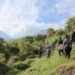 Mount Gahinga Hike