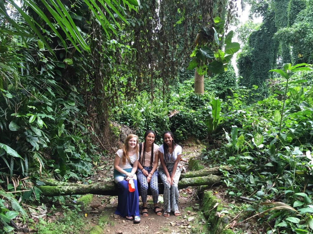 Visit Entebbe Botanical Gardens