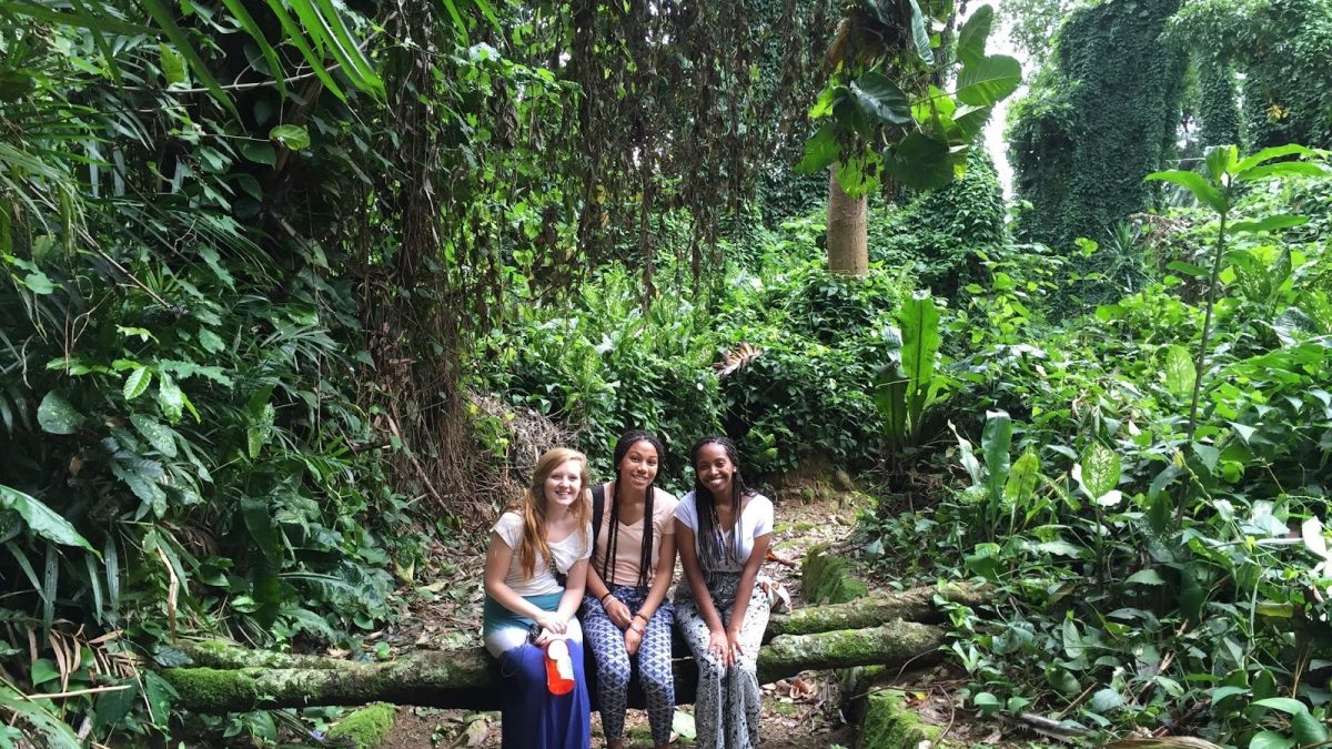 Visit Entebbe Botanical Gardens