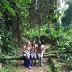 Visit Entebbe Botanical Gardens