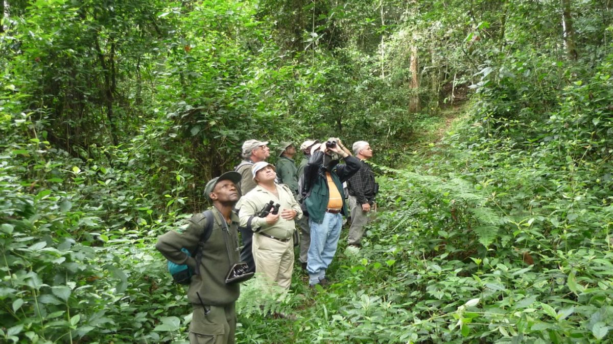Cultural Activities in the Surroundings of Kibale National Park