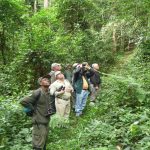 Cultural Activities in the Surroundings of Kibale National Park