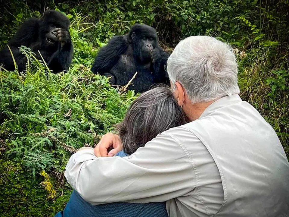 Honeymoon Trip to Bwindi Impenetrable Forest National Park During Gorilla Trekking