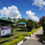 Visit Igongo Cultural Centre