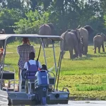Kazinga Channel Boat Cruise in Queen Elizabeth National Park