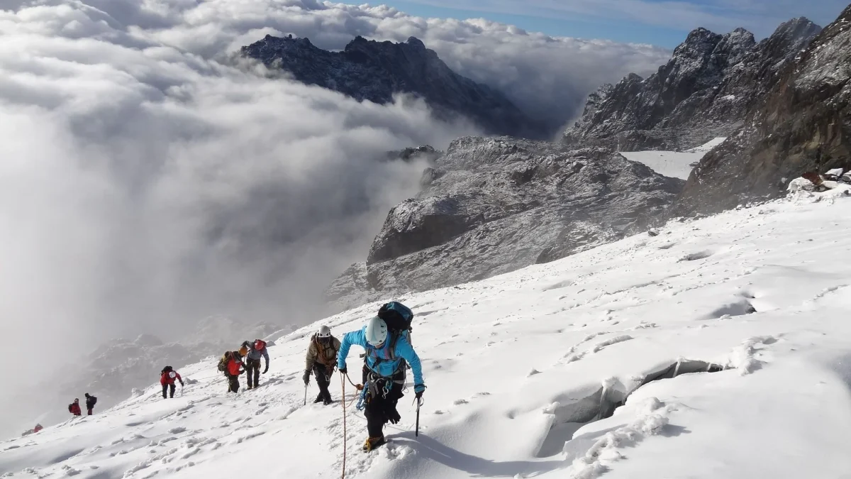 Hike the Rwenzori Mountains
