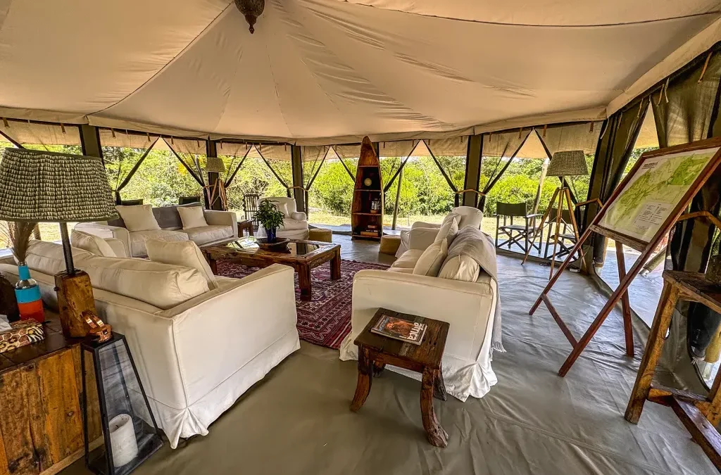 Are There Luxury and Budget Options for This Kind of Safari
