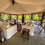 Are There Luxury and Budget Options for This Kind of Safari