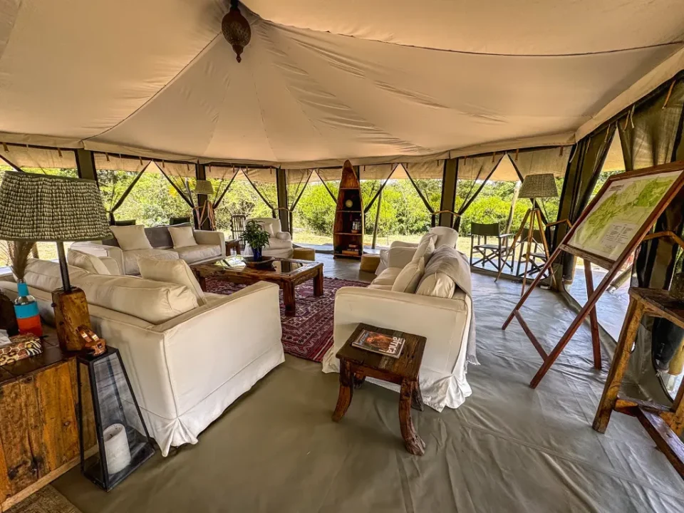Are There Luxury and Budget Options for This Kind of Safari