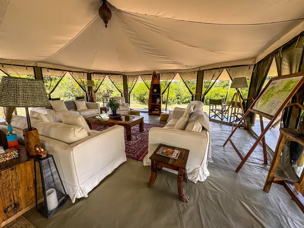 Are There Luxury and Budget Options for This Kind of Safari