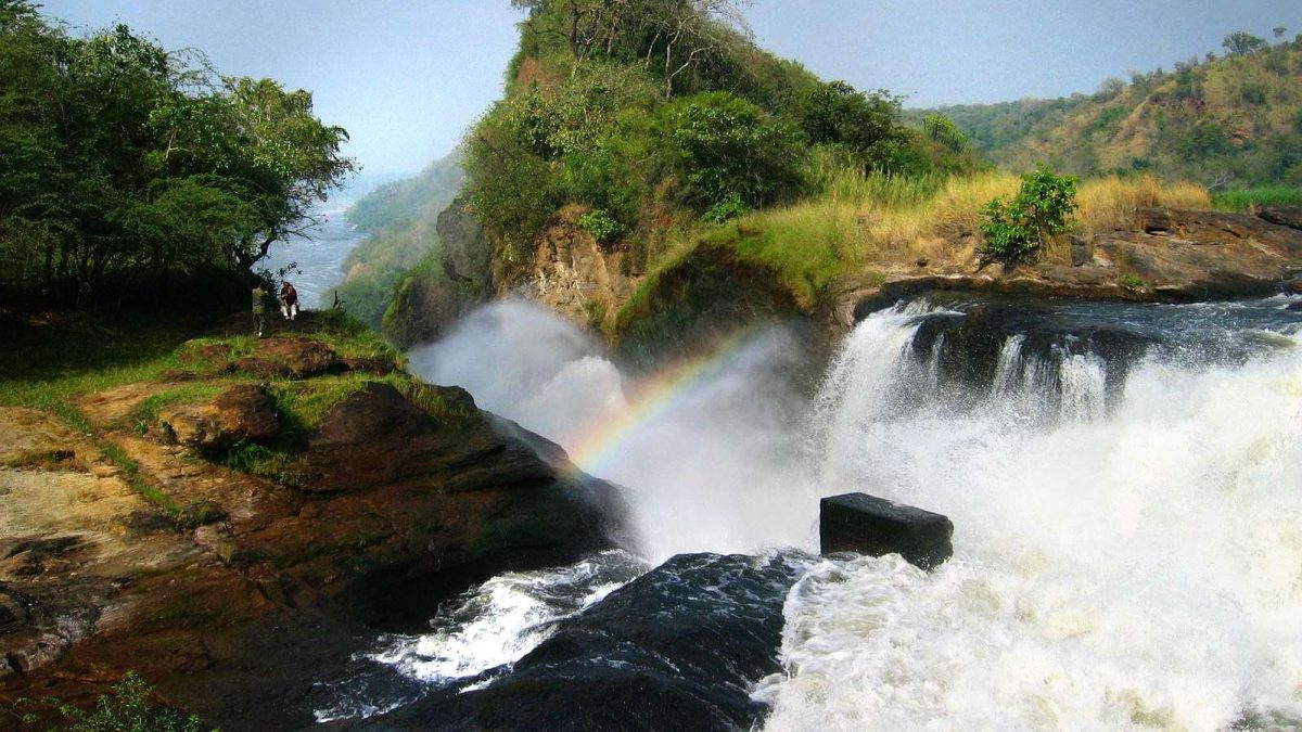 How Far Is Bwindi from Other Major Parks Like Queen Elizabeth or Murchison Falls