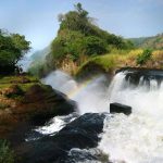 How Far Is Bwindi from Other Major Parks Like Queen Elizabeth or Murchison Falls