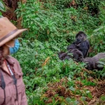 What Fitness Level Is Required for Gorilla Trekking?