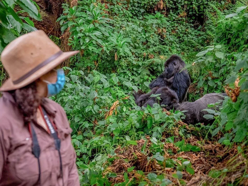 What Fitness Level Is Required for Gorilla Trekking?
